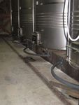 The vinification