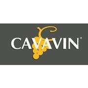 Cavavin Niort