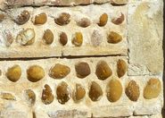 Terroir and climate