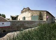 The wine shop