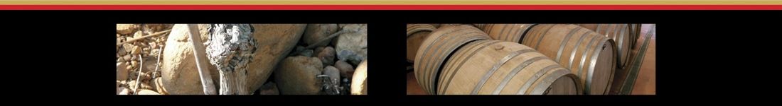 Pétillant Naturel Rosé