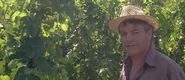 les secrets de bacchus