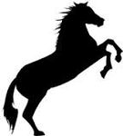 Le Cheval Noir