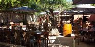 Le Mazet sous les Platanes 