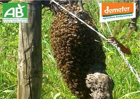 Notre respect de l'environnement