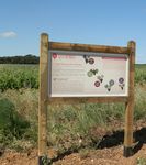 Notre parcours au cœur des vignes