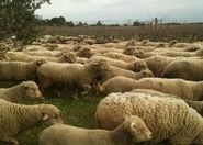Notre respect de l'environnement