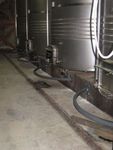 La vinification