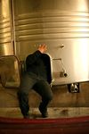 La vinification