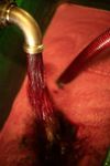 La vinification
